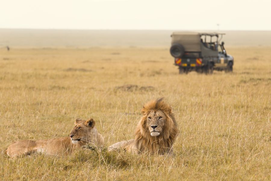Amboseli, Laikipia ja Masai Mara