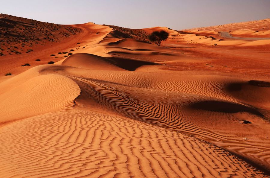 Oman – Aavikko ja rannikko